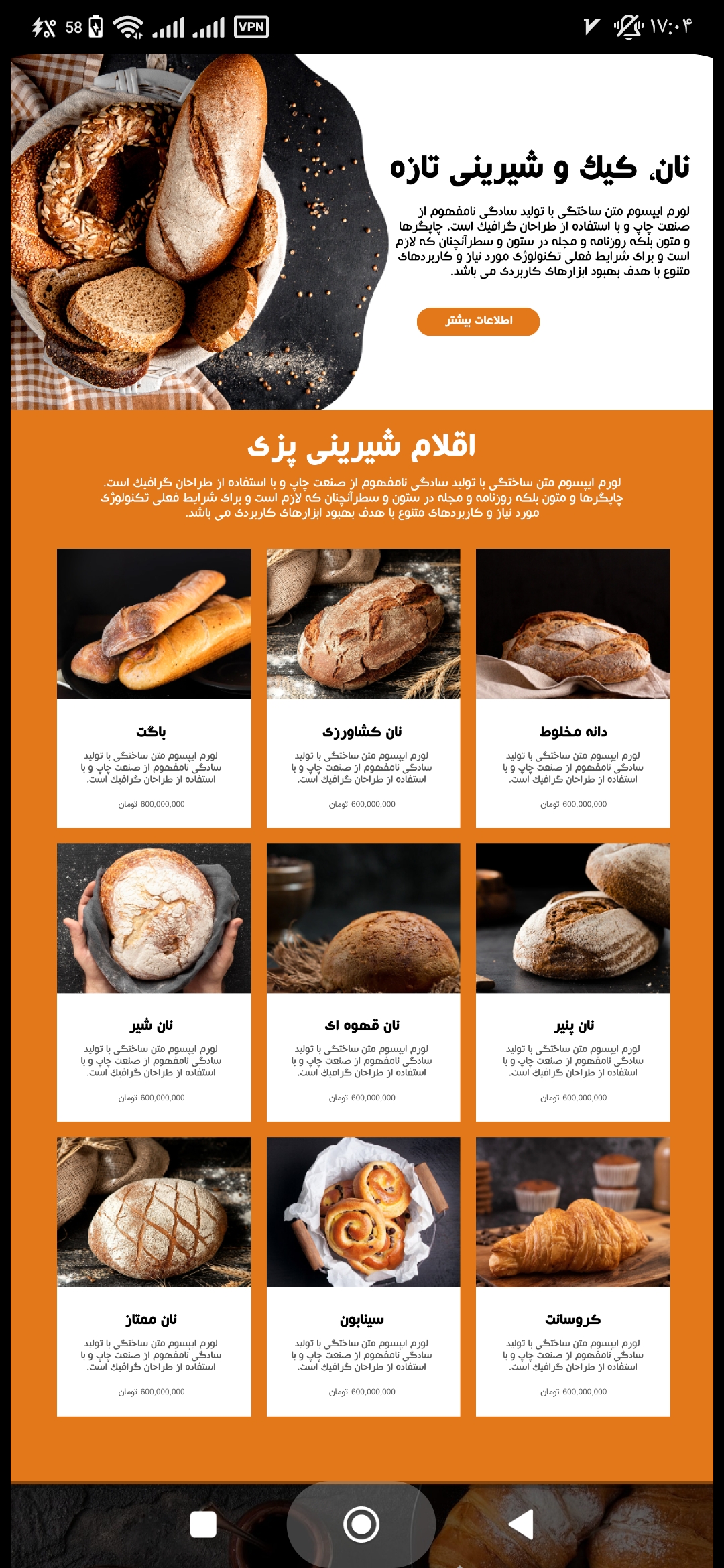 طراح سایت تکشو
